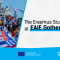 The visual contains a group of ESN volunteers cheering and holding various countries' flags on the left side. On the right side, there is a blank background with the article's title, "The Erasmus Student Network at EAIE Gothenburg 2025".